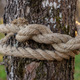 Image for article titled A Hate Crime for Halloween: Realistic Black Doll Hung from Tree in NJ